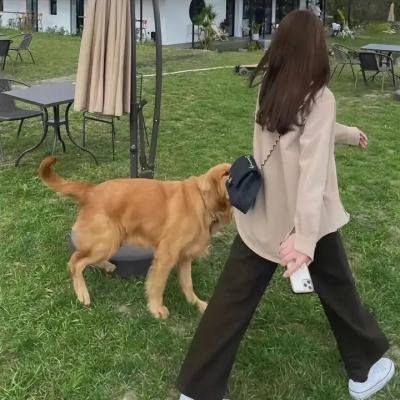 大树之歌
